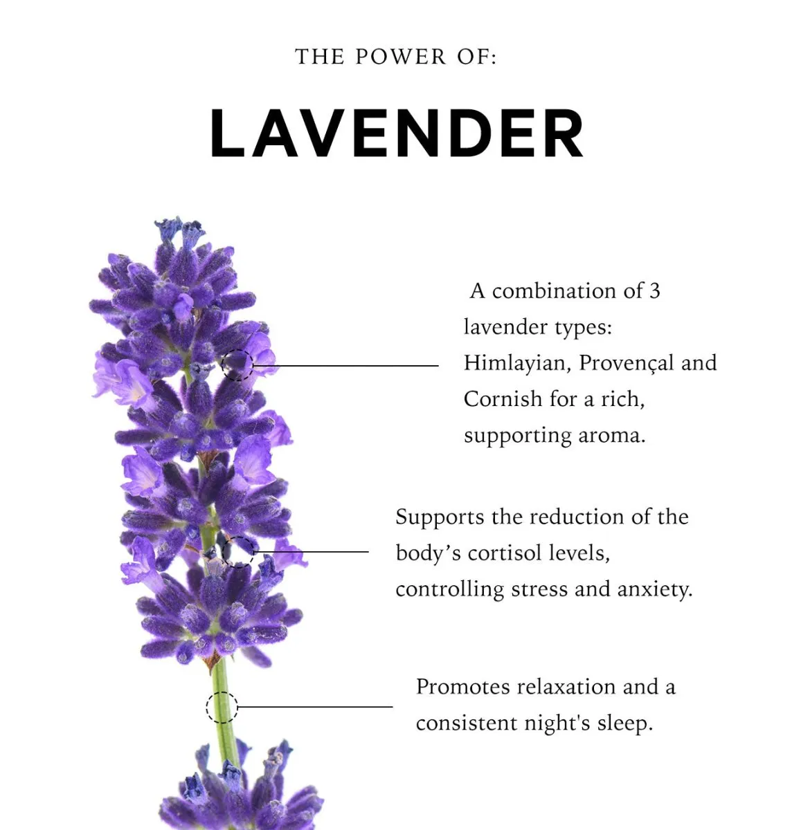 Cornish Lavender Pillow Spray