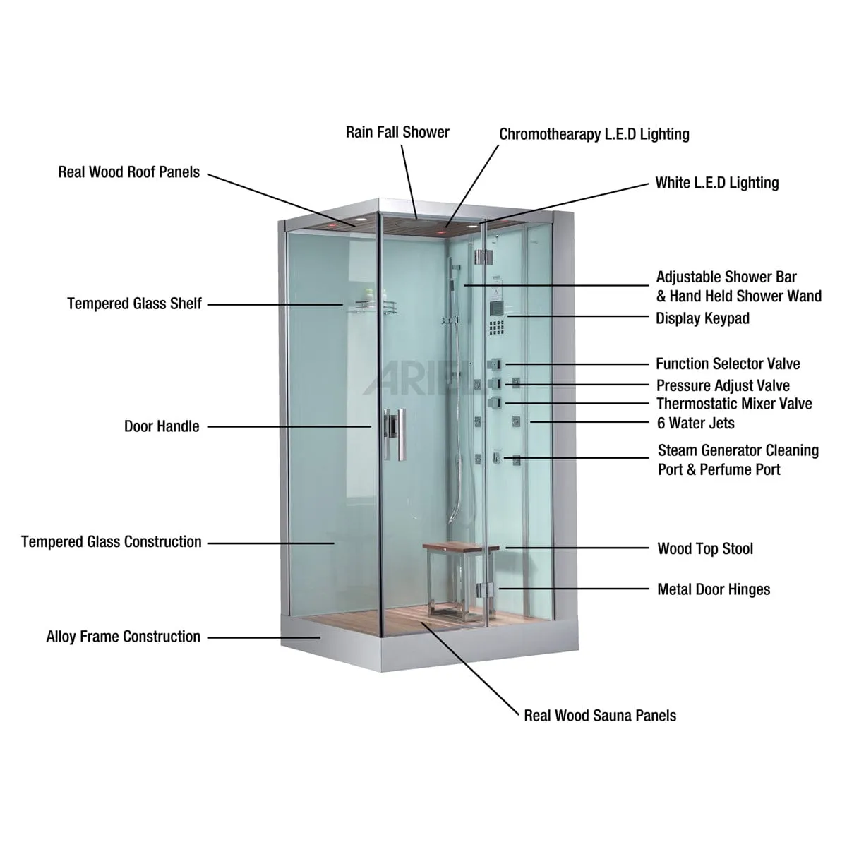 Platinum DZ961F8 2 Person Walk-In Steam Shower