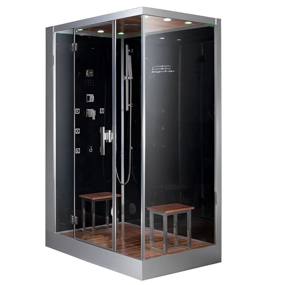 Platinum DZ961F8 2 Person Walk-In Steam Shower