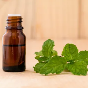 Spearmint Essential Oil